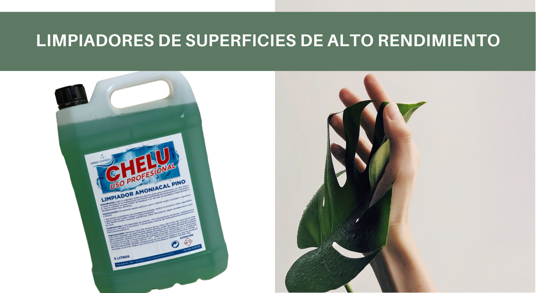 productos de limpieza desengrasante quitagrasas lavavajillas abrillantador maquinas jabon de manos amoniacal pino